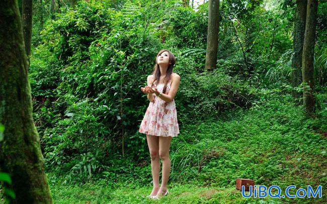 ps调出树林MM图片梦幻的橙褐色
