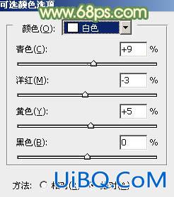 ps调暖褐色非主流色调