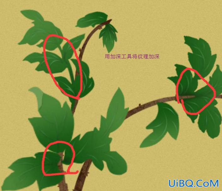 Photoshop鼠绘花卉图片教程：利用钢笔工具绘制漂亮的芍药花图片。