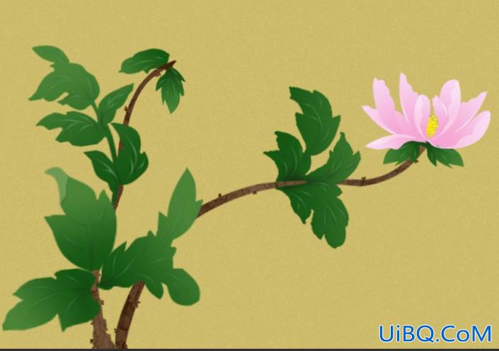Photoshop鼠绘花卉图片教程：利用钢笔工具绘制漂亮的芍药花图片。