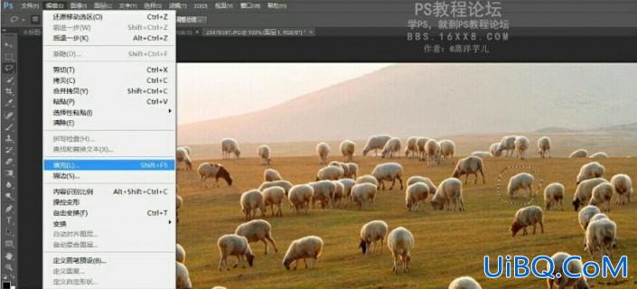 Photoshop图片去杂物教程：用简单的方法在一张羊群图片中去除一只羊。