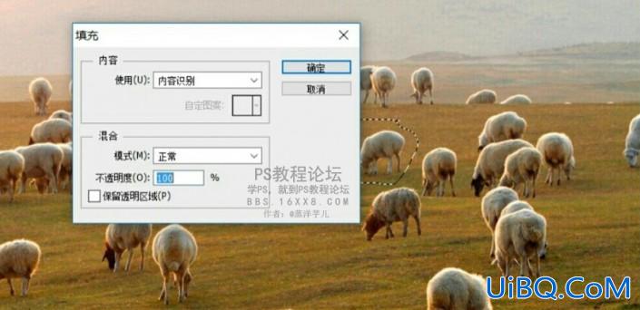 Photoshop图片去杂物教程：用简单的方法在一张羊群图片中去除一只羊。