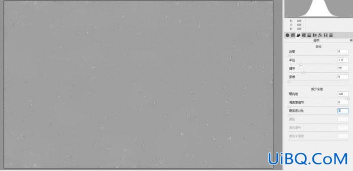 Photoshop技巧教程：学习去除照片中噪点的几个小技巧，照片去噪点教程。