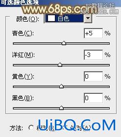 ps韩系暖褐色
