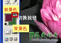 ps填充快捷键介绍及使用,ps填充命令介绍。