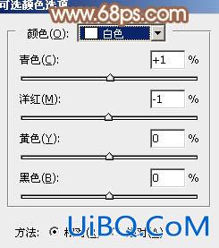 ps调出照片中性褐色效果教程