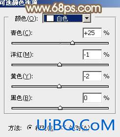 ps调出淡褐色图片效果教程