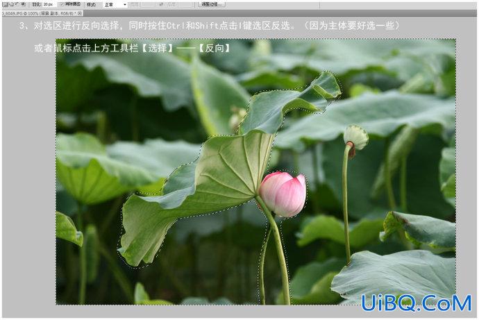 虚化背景，PS做出大光圈虚化效果