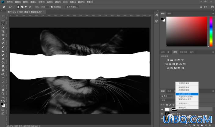 撕纸效果，在Photoshop中给猫咪照片制作艺术的撕纸效果