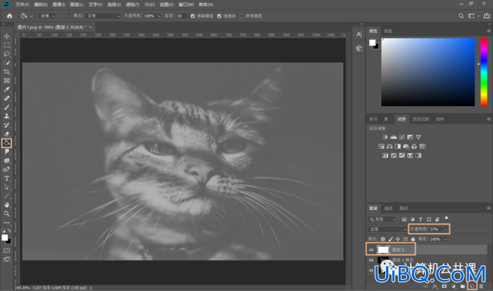 撕纸效果，在Photoshop中给猫咪照片制作艺术的撕纸效果