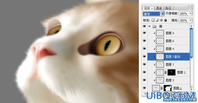 PS鼠绘可爱的小猫素材图,手绘毛绒质感小猫案例。