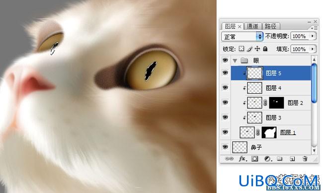 PS鼠绘可爱的小猫素材图,手绘毛绒质感小猫案例。