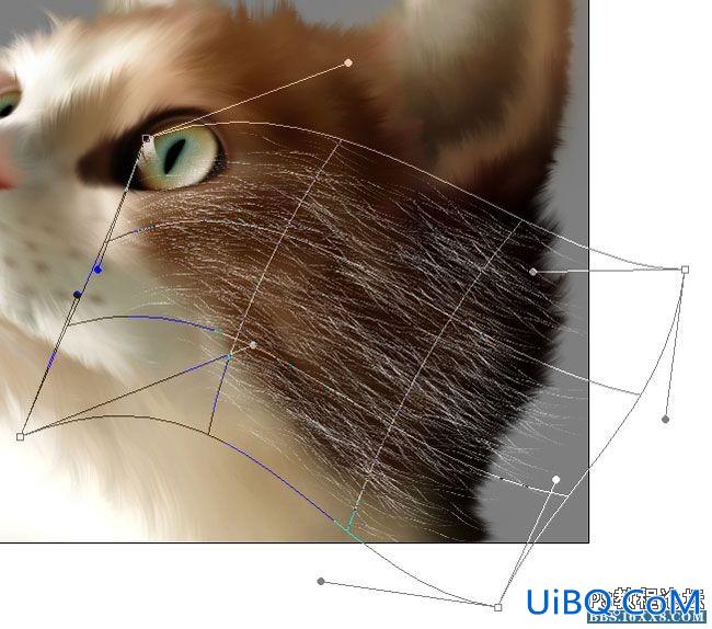 PS鼠绘可爱的小猫素材图,手绘毛绒质感小猫案例。