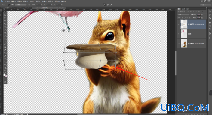 Photoshop合成教程：创意打造一幅生动有趣的鸟与松鼠的合成图片。