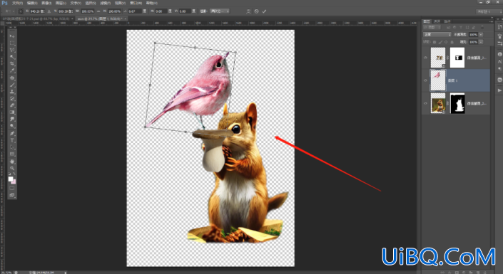 Photoshop合成教程：创意打造一幅生动有趣的鸟与松鼠的合成图片。