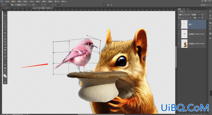 创意合成，设计鸟与松鼠和谐共处的创意图片