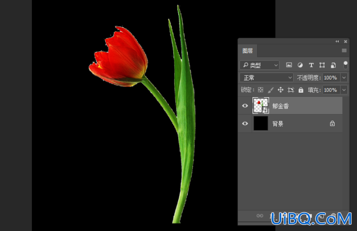 液态效果，在Photoshop中制作一枝质感的液态花朵