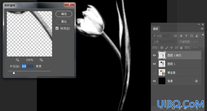 液态效果，在Photoshop中制作一枝质感的液态花朵