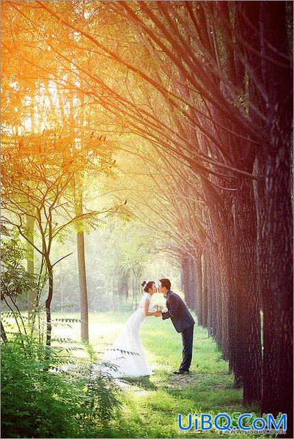 Photoshop婚纱照调色：给树林中拍摄的一对情人婚纱照调出灿烂的阳光色彩