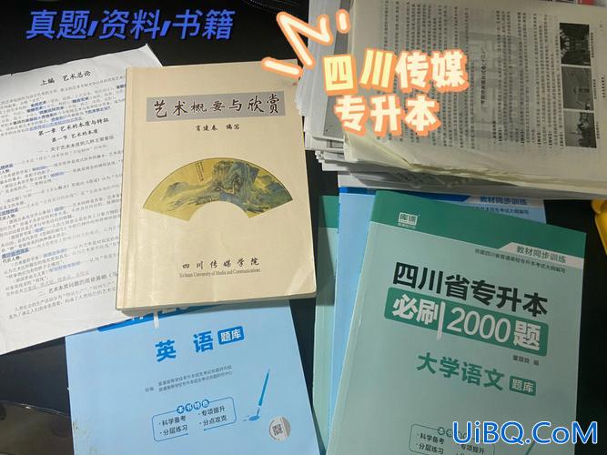 川教成专升本 川传有大专吗？