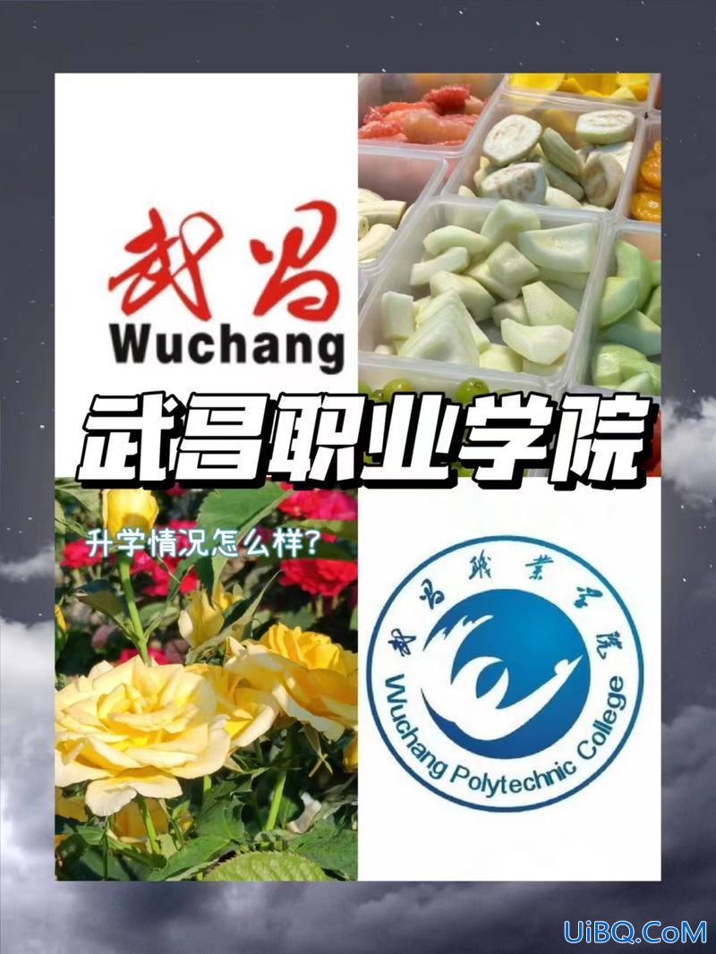 武昌职业学院对口升学专业 武昌职业学院每个专业的录取的分数相同吗？