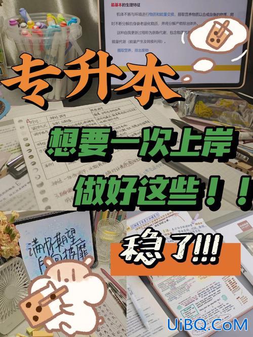 专升本上岸感受？专升本上岸对学校有好处吗？