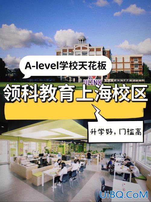 领科学校上海升学率，上海的领科教育怎么样？