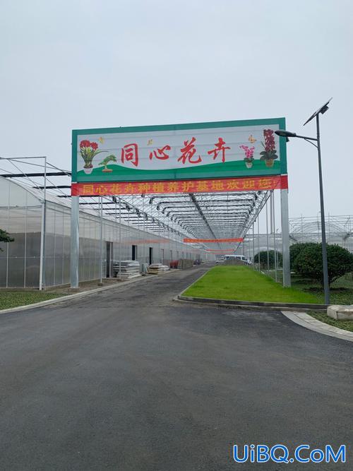 夏溪中学升学率排名，全国花卉种植基地排名？