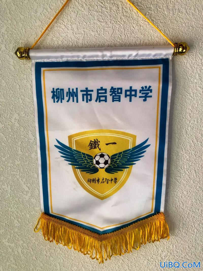 柳州启智中学升学(柳州启智中学升学率)？