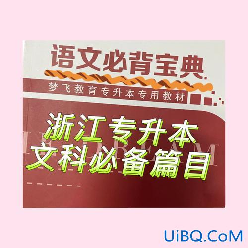 语文专升本小说(专升本文科语文考什么)？