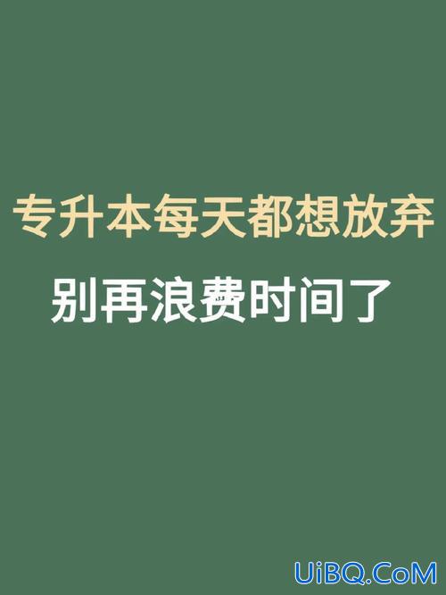 我是专升本，专升本之后，你们都去做了什么？