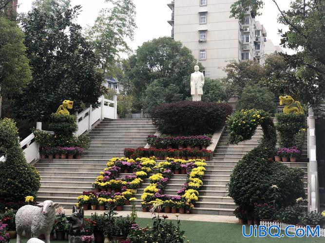 南京中山小学升学？中山中专有升学班吗？