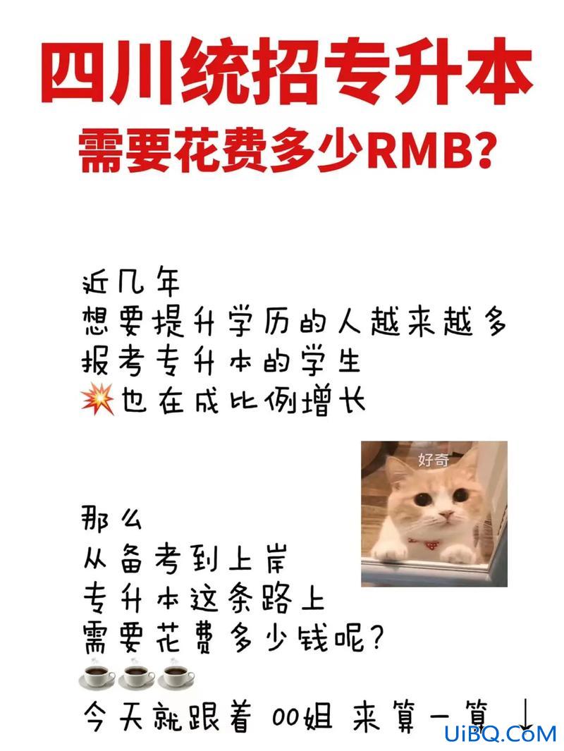 专升本文员？专升本费用多少？