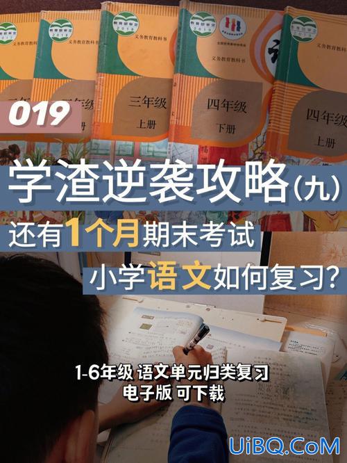 语文升学考试复习与指导，小学语文期末考试怎么复习如何提升复习效率？