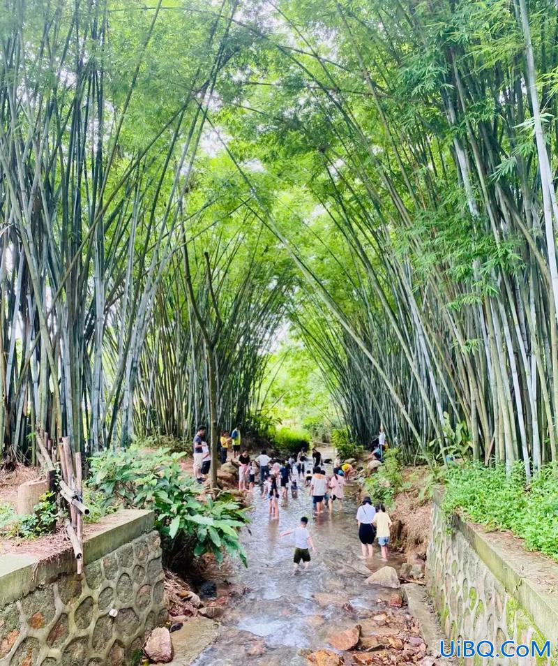 珠海唐家湾中学中考升学率 珠海金凤小学怎么样？