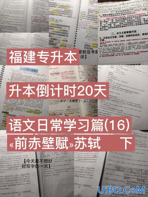 专升本带背？专升本前赤壁赋要背吗？