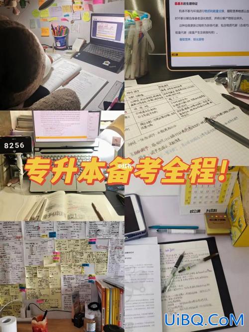 专升本操作(专升本那么多形式，都是什么意思)？