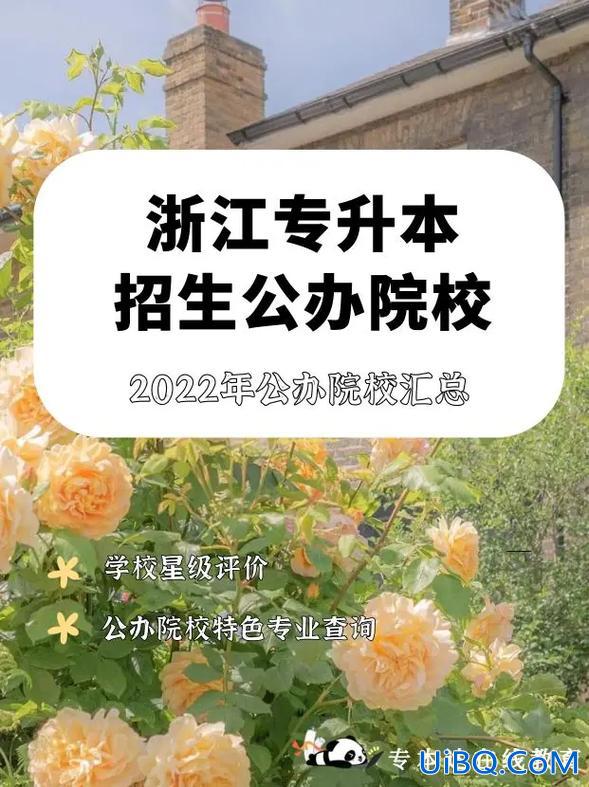 浙专升本 中浙专升本机构怎么样？