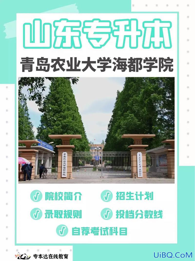 国办专升本，青岛康复大学招专升本吗？