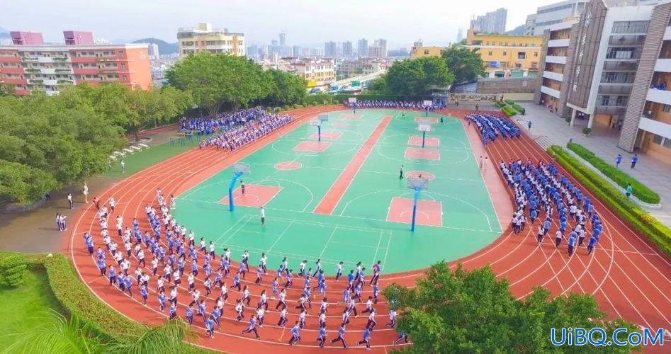 深圳龙岗区东升学校，深圳东升学校和晟才哪个好？