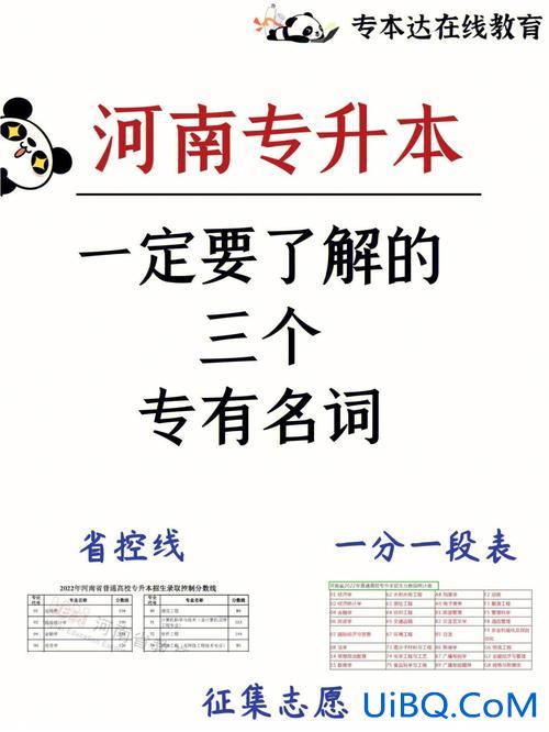 名词专升本(专升本不可数名词都有哪些)？