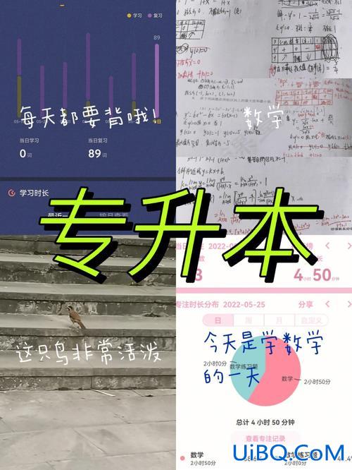 专升本24(24岁专升本会不会太晚)？