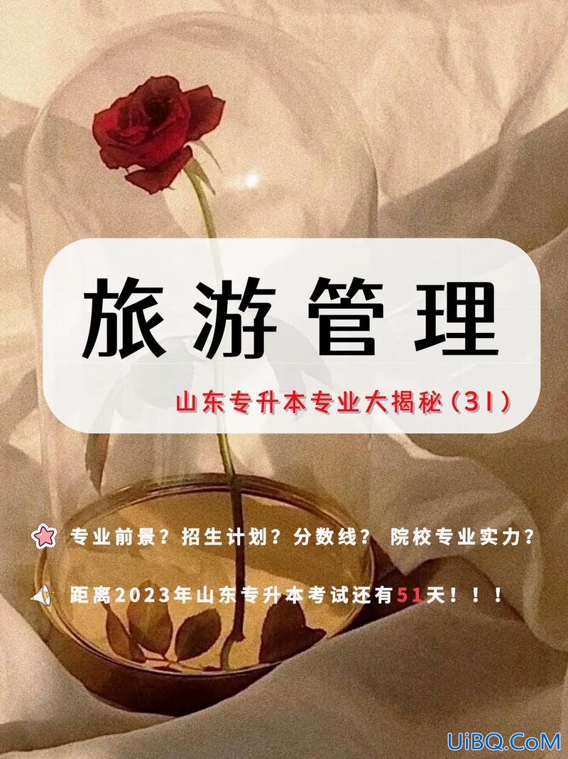 专升本旅行(专升本有多难，旅游管理容易升吗)？