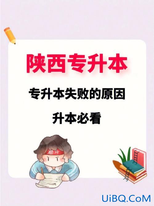 首都专升本，首都经济贸易大学有没有专升本啊？