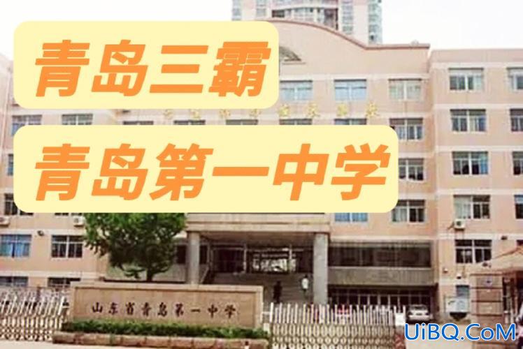 青岛院士港中学升学率 青岛六十一中升学率？