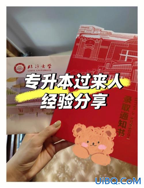 专升本完了？专升本之后，你们都去做了什么？