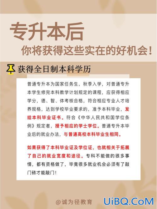 出来专升本(专升本成功后，你的感受是什么)？
