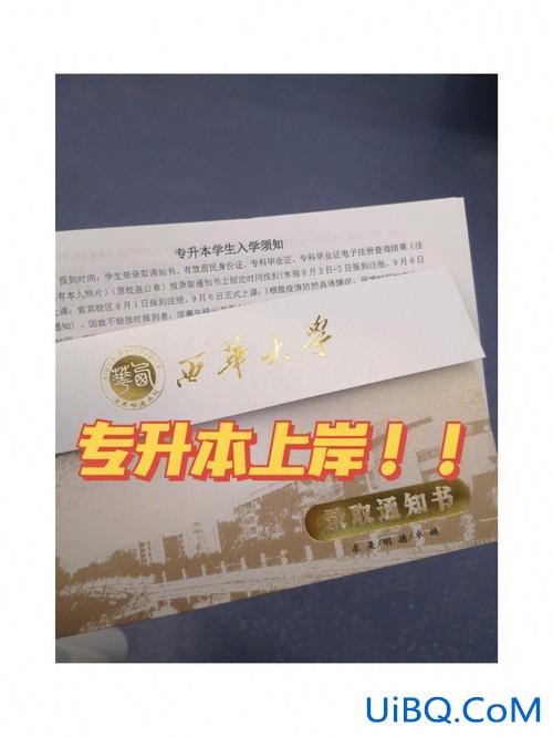 专升本公章(专升本需要盖什么章)？