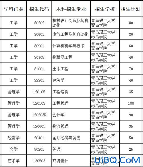 青岛理工大学琴岛学院2024专升本 青岛哪些学校是可以专升本的？