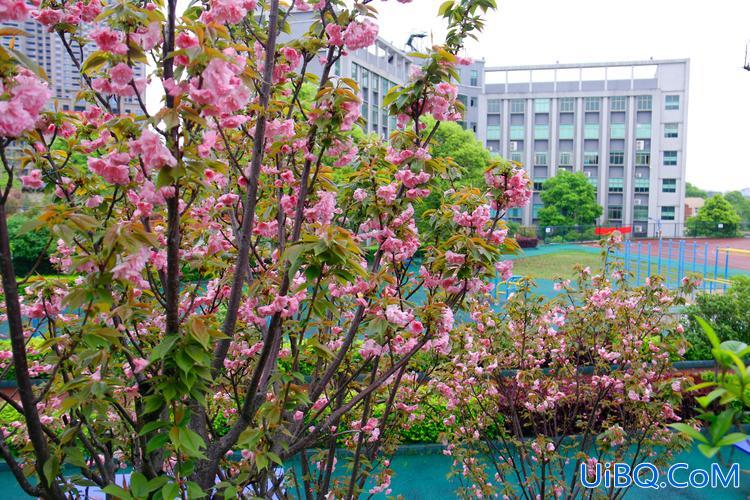 醴陵陶瓷学校对口升学部？醴陵陶瓷烟花职业学校是高中吗？